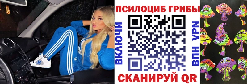 Галлюциногенные грибы Psilocybine cubensis  Мытищи 