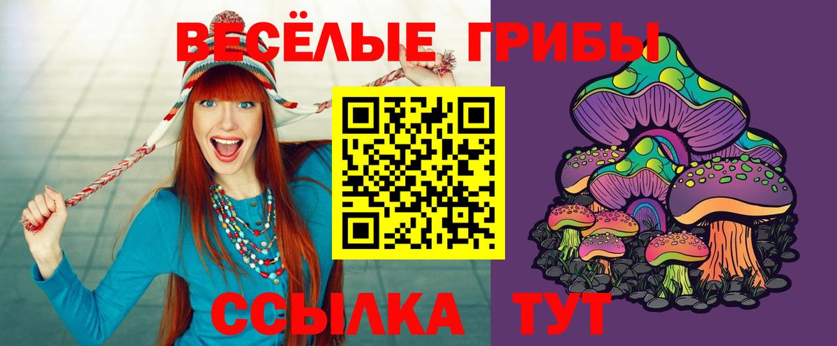 Псилоцибиновые грибы GOLDEN TEACHER  Вход с VPN  Мытищи 