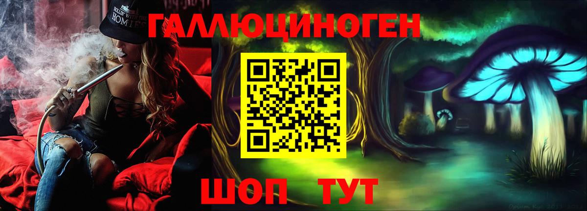 Галлюциногенные грибы Psilocybe Мытищи